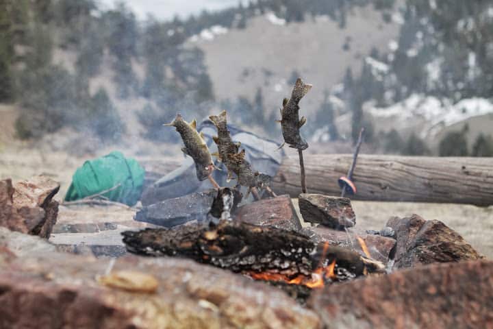 Eating Fish Shioyaki Style