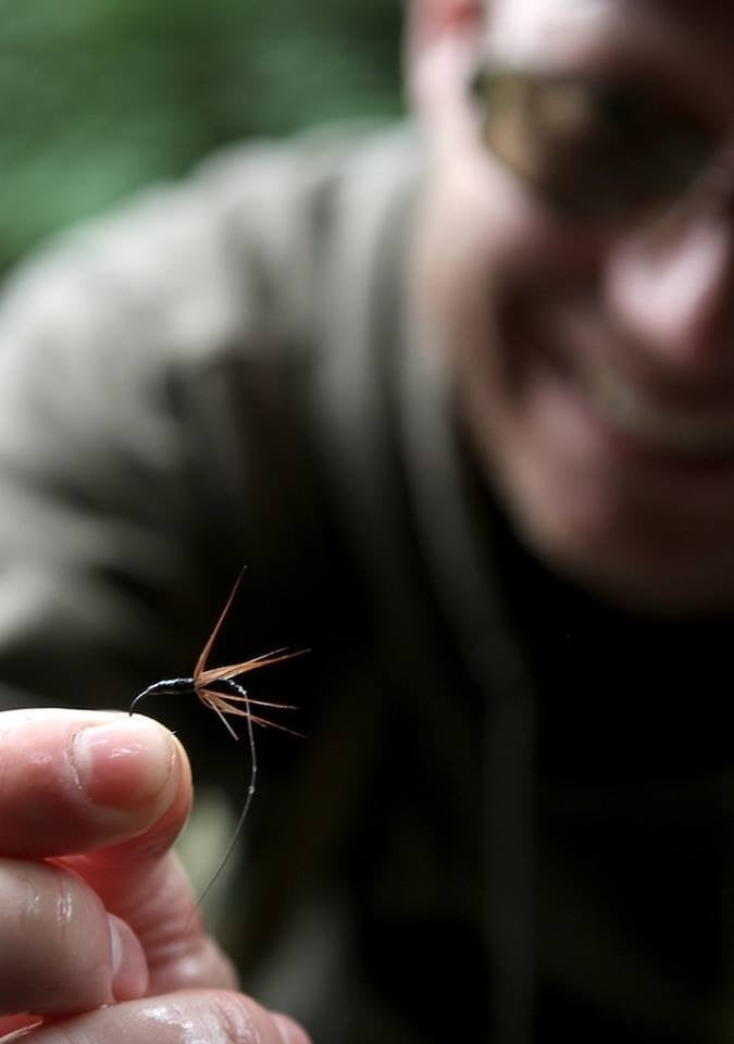 30 days, 3 countries, 12 species, 1 fly