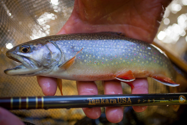 Tenkara Summit Photography