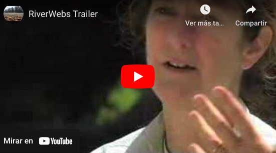 Stream ecology research, and Dr. Shigeru Nakano