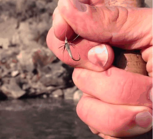 How to Fish with One Fly Pattern Tenkara Techniques