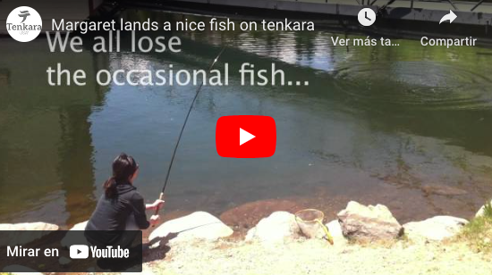 Good points about Tenkara