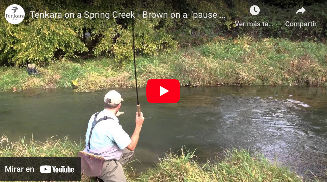 One Tenkara Fly - A personal choice