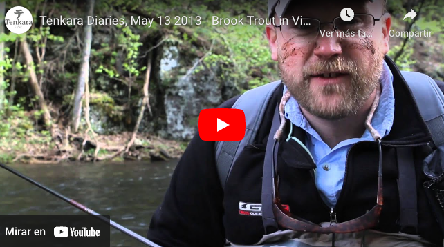 Tenkara Diaries, May 13  Tactics to catch a lot of fish in the Virginia Mountains