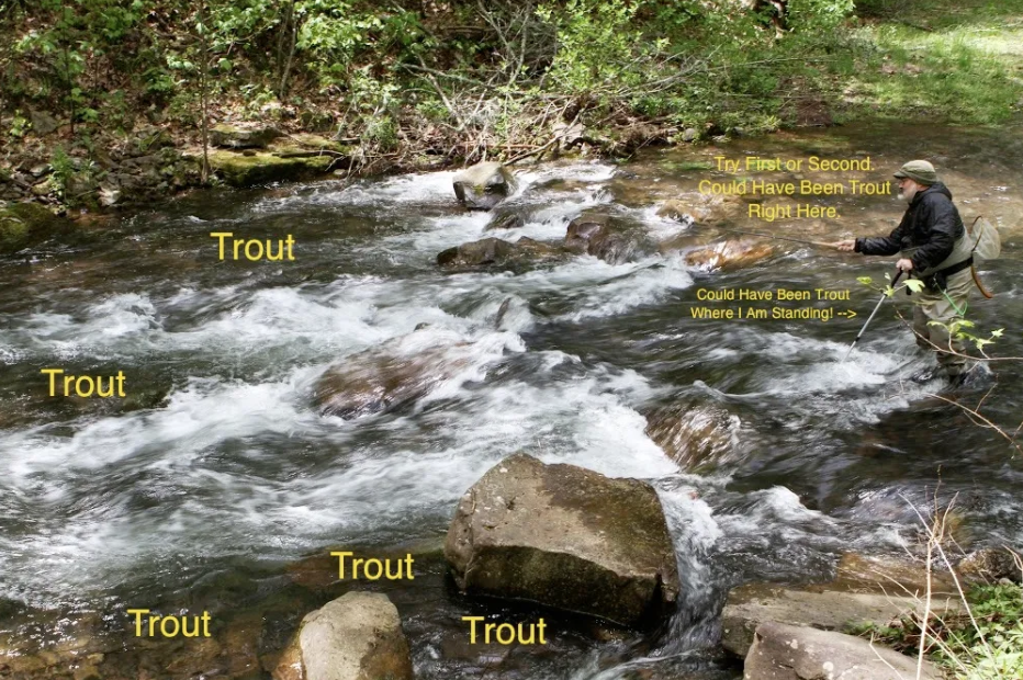 Look Both Ways Before You Cross The Road River