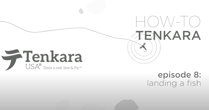 Ep.8: How to Land Fish with Tenkara