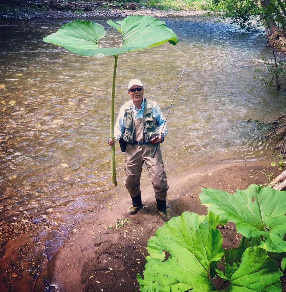 Reports from Japan, 2018