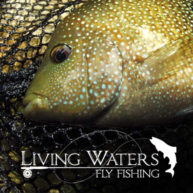 Living Waters Fly Fishing - Texas