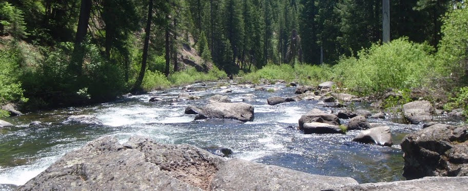 Fishing upstream or downstream?