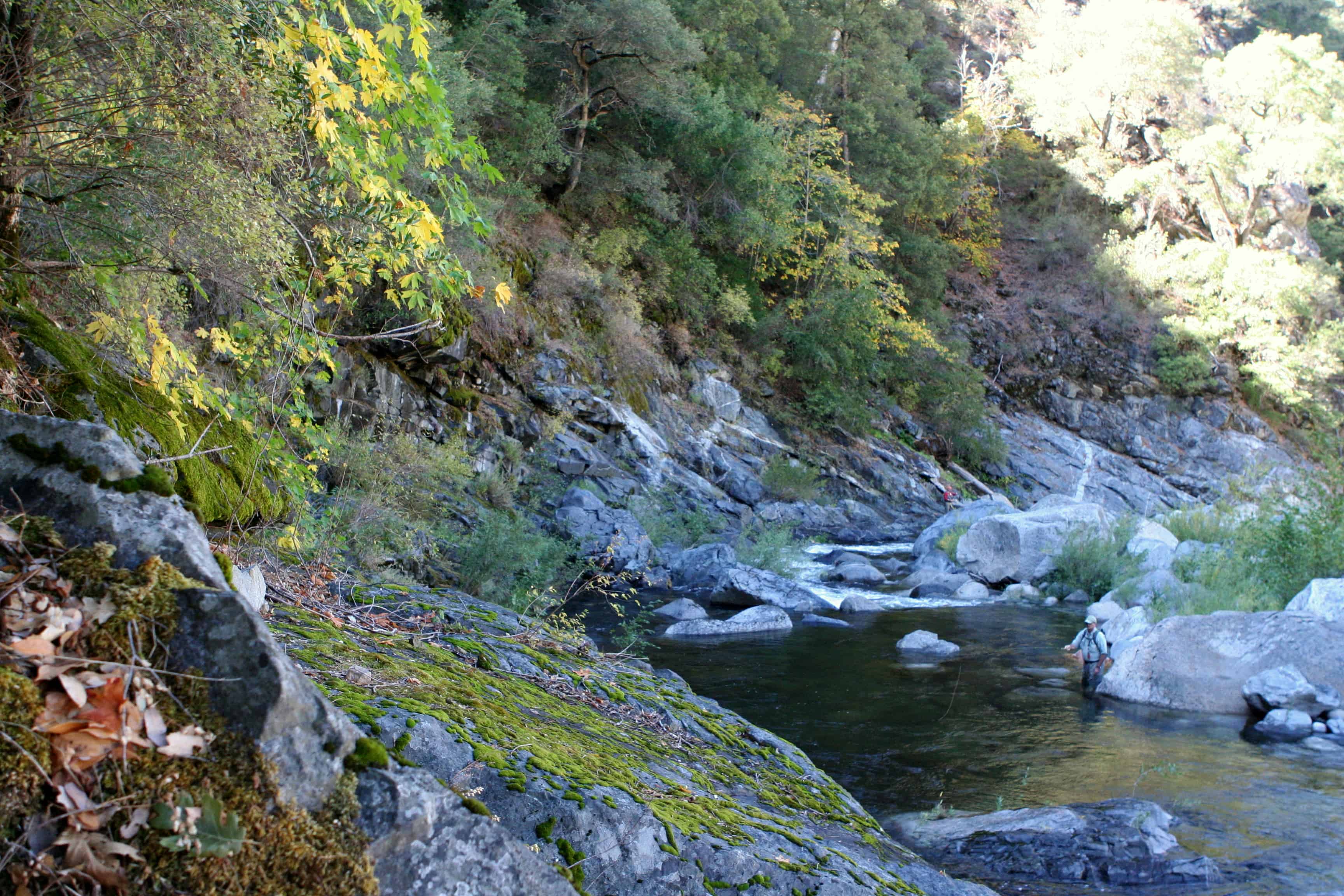 First Tenkara Outing