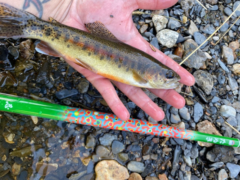 Tenkara master, Dr. Ishigaki, to visit California