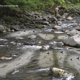 Tenkara USA.