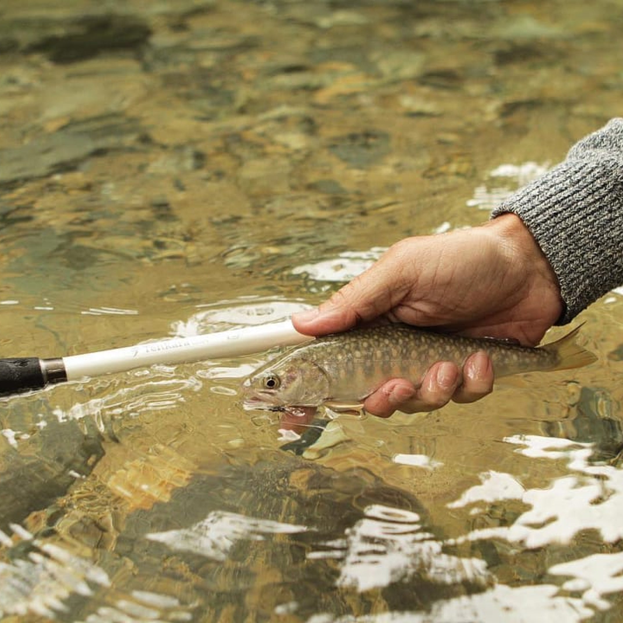 Tenkara Usa Rod and fish on had.