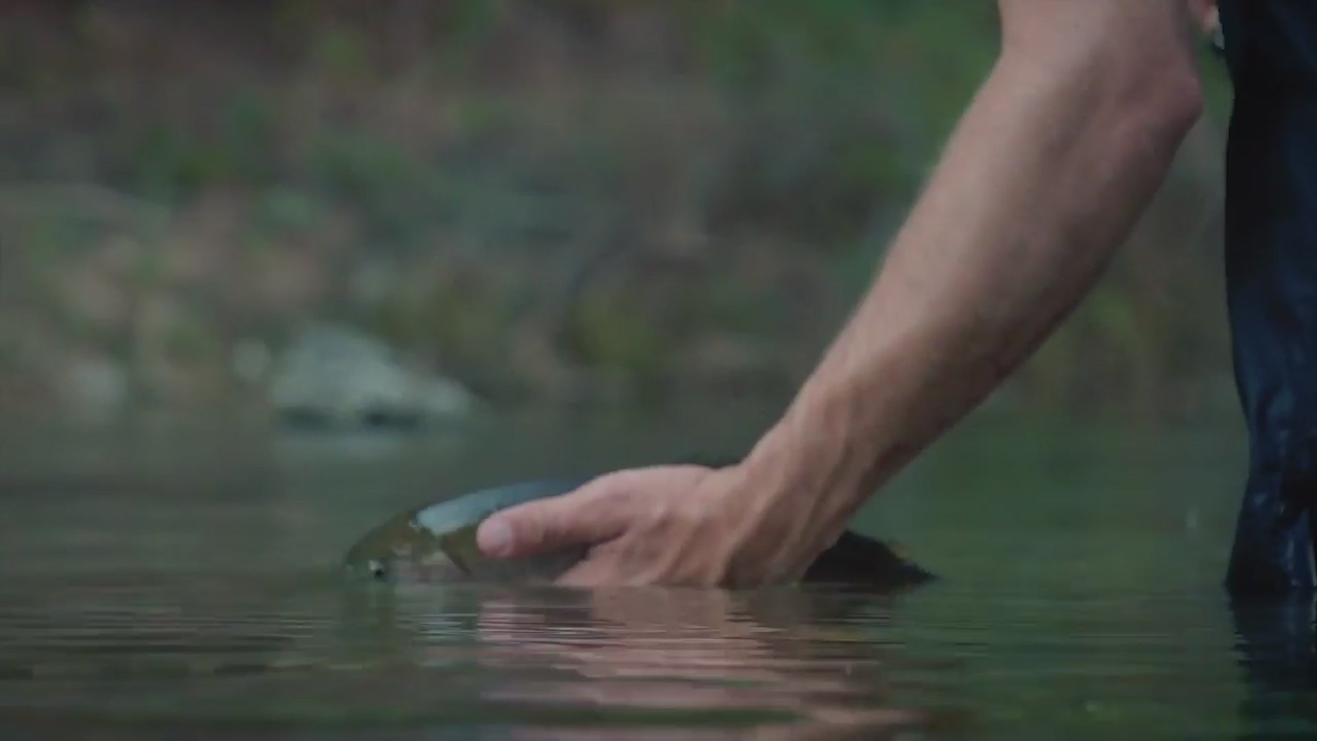 Tenkara Usa Hero Cover Preview Image Video.