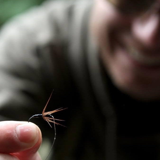 30 days, 3 countries, 12 species, 1 fly