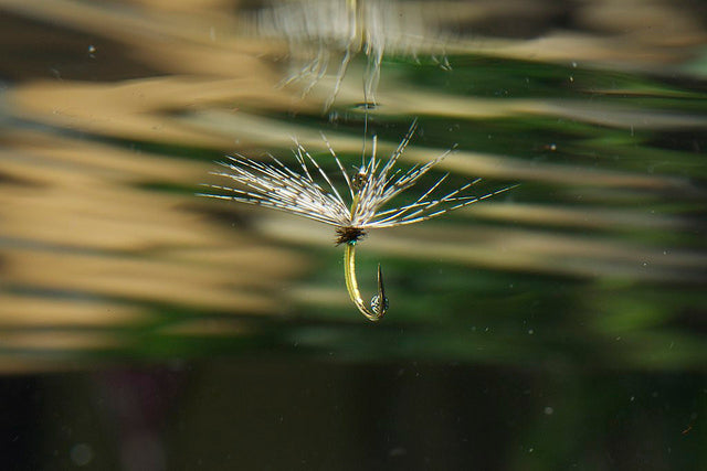 Why the Reverse Hackle on Tenkara Flies?