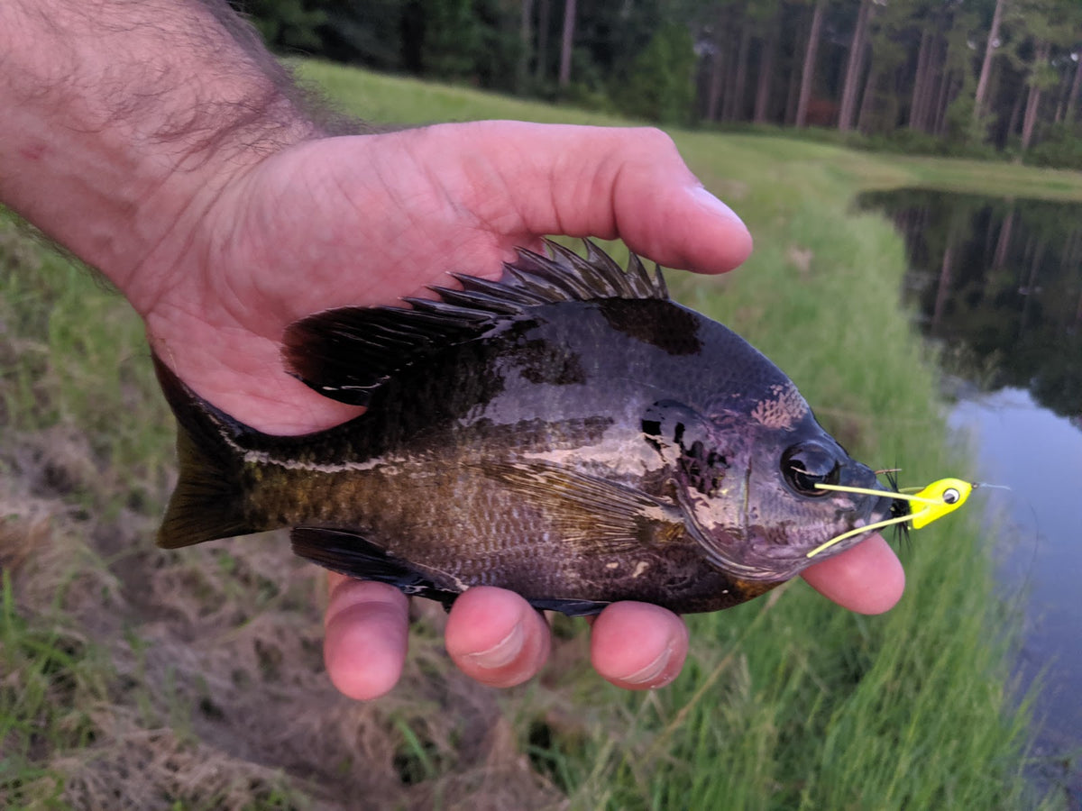 Tenkara was a hoax