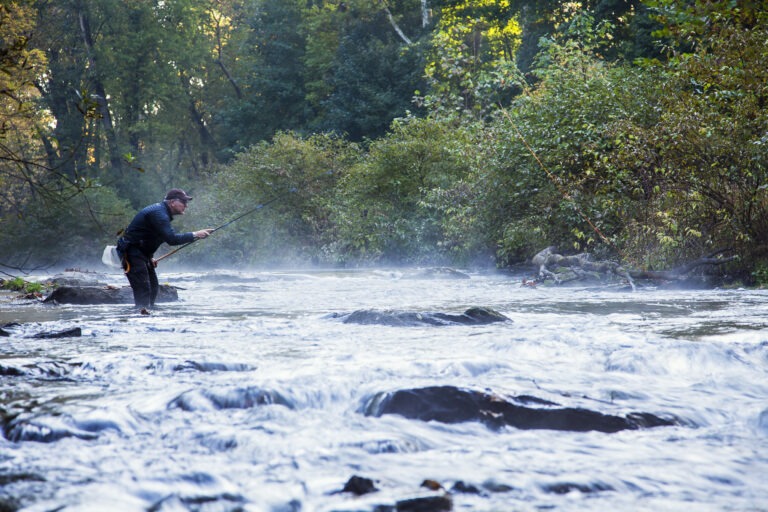 Why do I go to Japan to learn about tenkara?