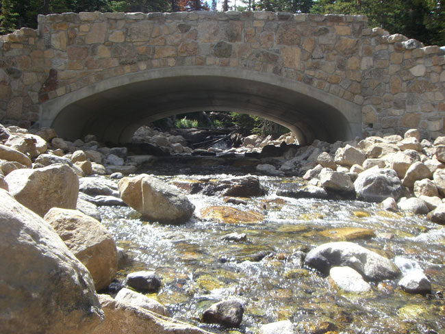 Trout Hangouts: Bridges