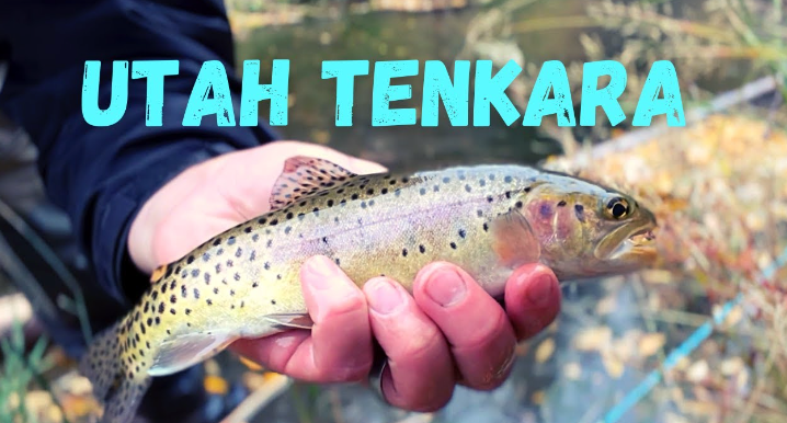 Utah, indeed a tenkara-perfect state
