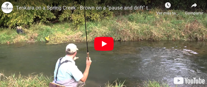 VIDEO: Pause and Drift, Tenkara Technique