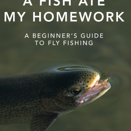 "Dream Homework"