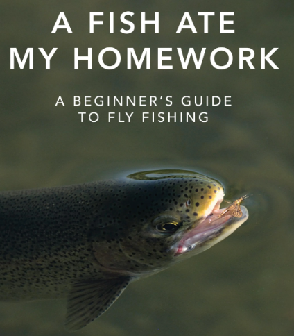 "Dream Homework"