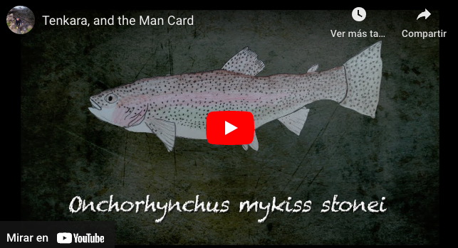 Entertaining tenkara video