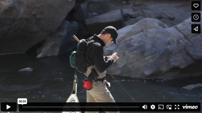 Tenkara and Tricos, a new video by Vedavoo