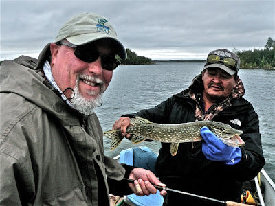 Species caught on tenkara