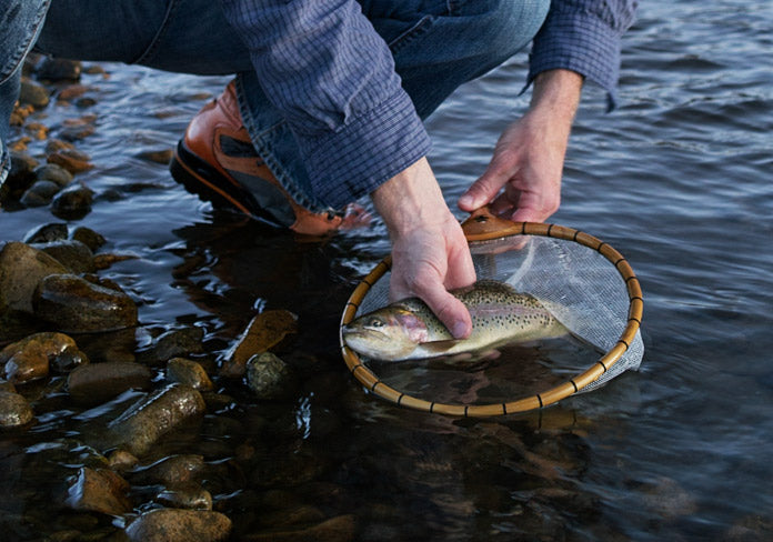 Reaching and holding a fish - not like an eagle.