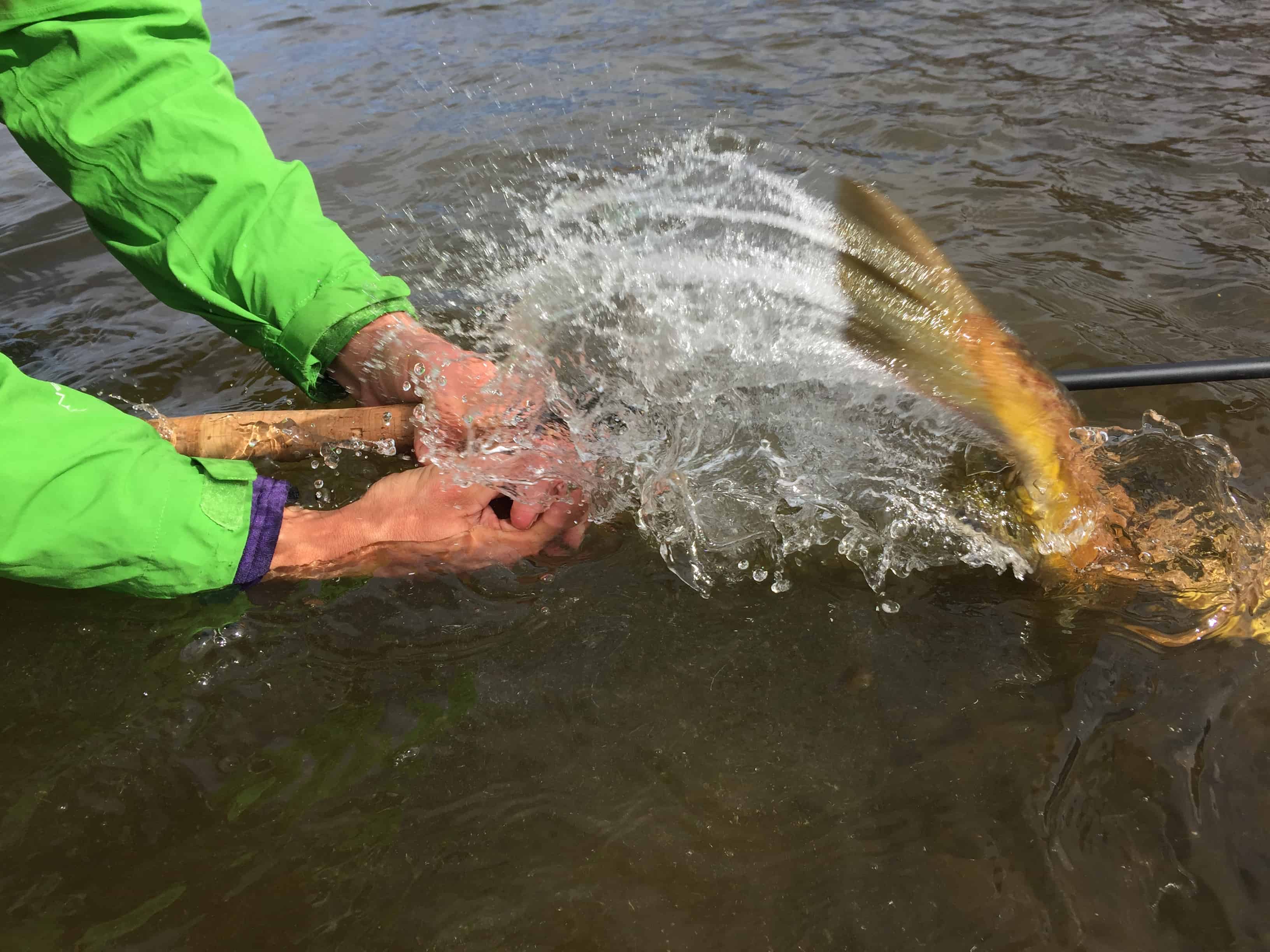 Fishing Among Tenkara Friends