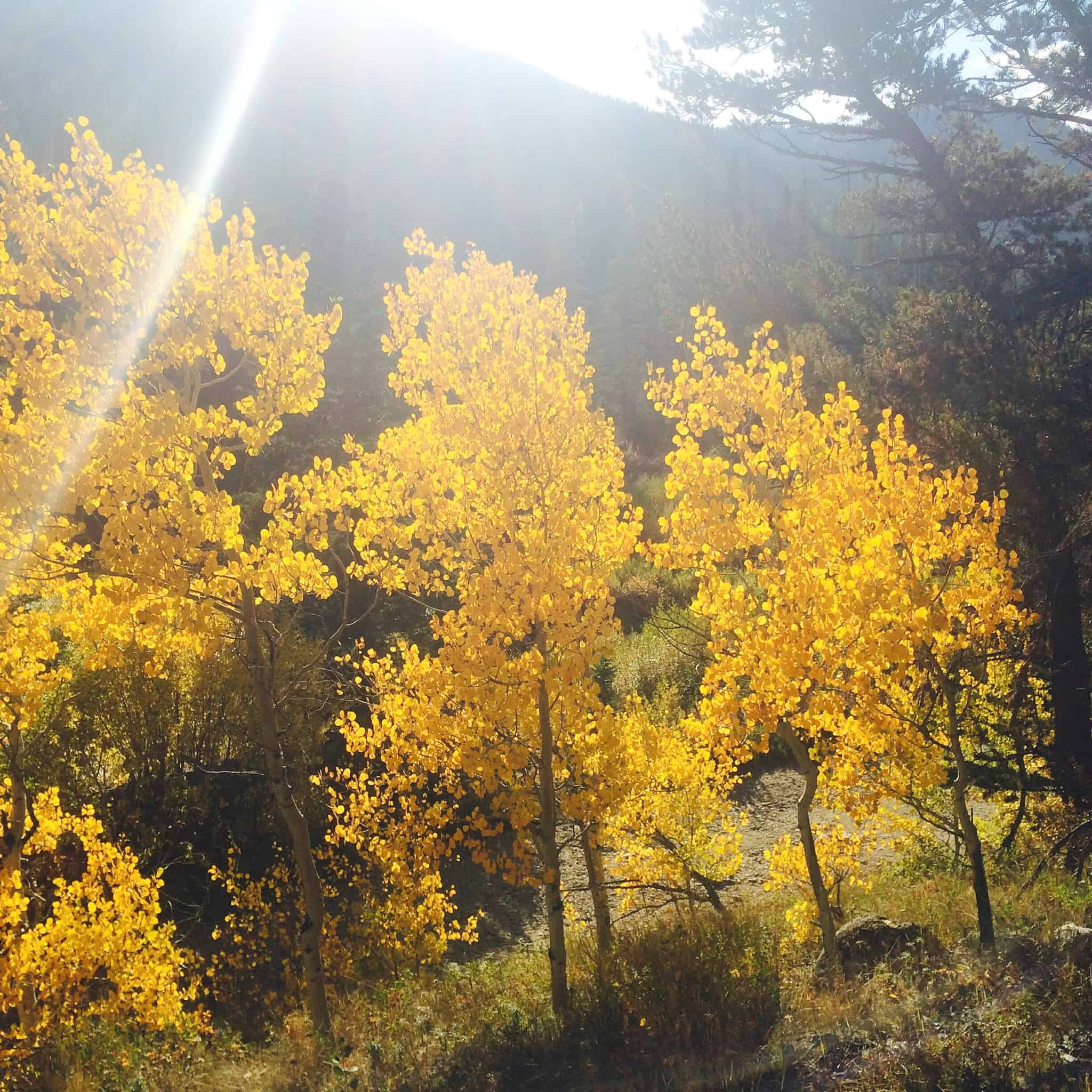 Fall has arrived in Boulder