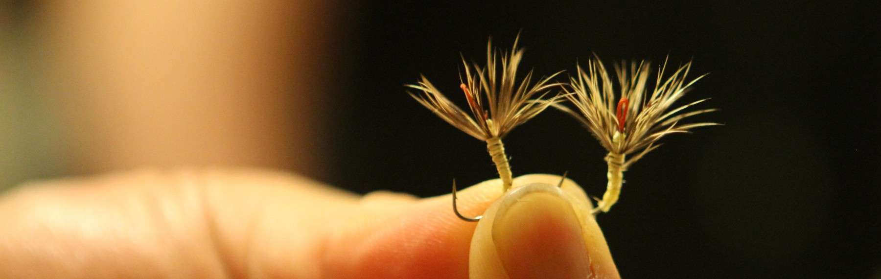 One fly - Tenkara