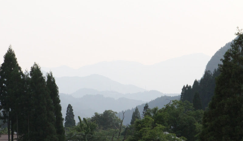 Japan as a mountain painting