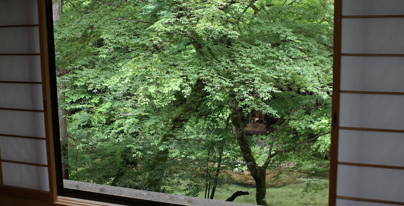 Today's view from my room, and tenkara fishing