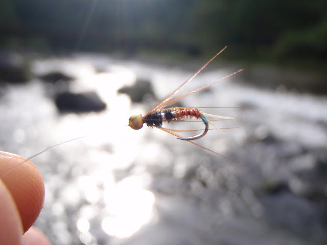 George Elliott Gregory, first mention of tenkara?