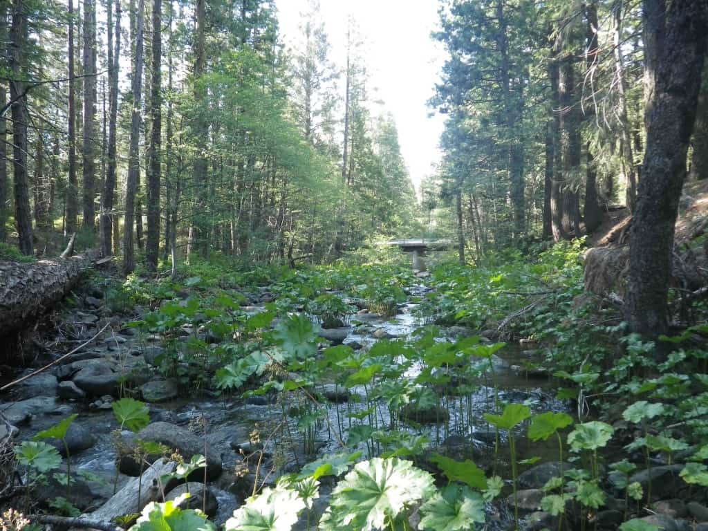 Tenkara Master For A Day