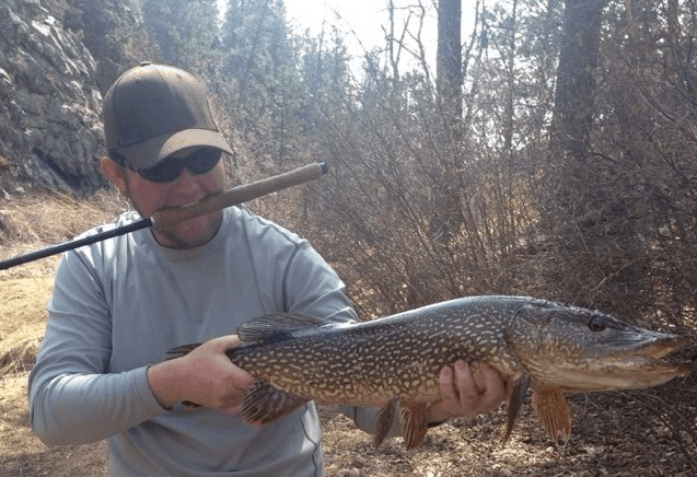 Pike on Tenkara USA Ito