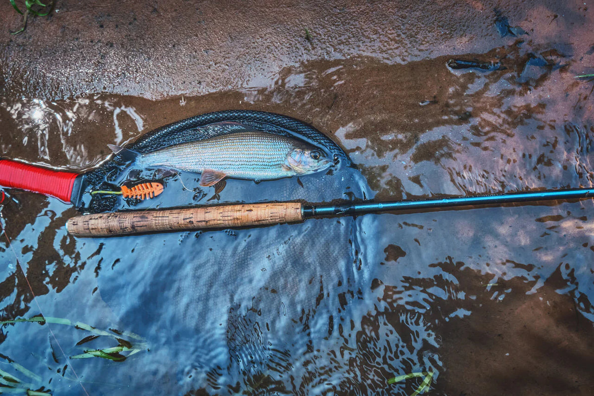 Tenkara Interactions - "Are you the tenkara guy?"