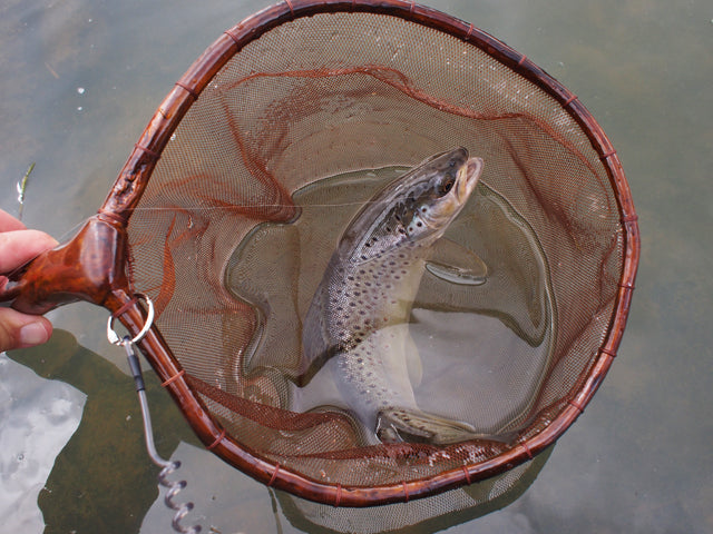 Tenkara Week - Idaho