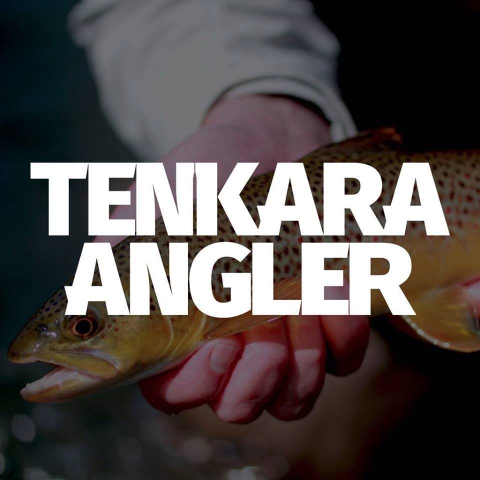 How many tenkara anglers are there?