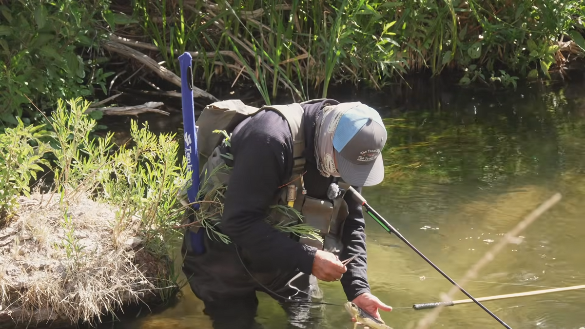 Beyond the Basics: Dry Dropper on a Fixed Line