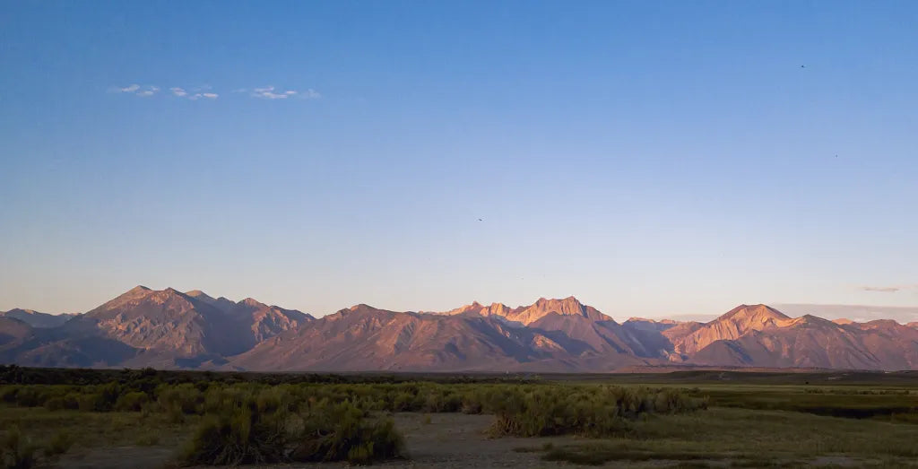 Weekend Reading: Magical Mountain Meadow Tenkara