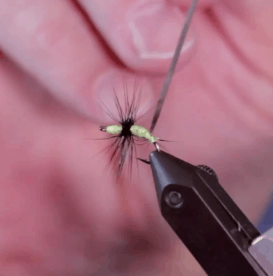 Chartreuse Black Kebari with Mark Bolson