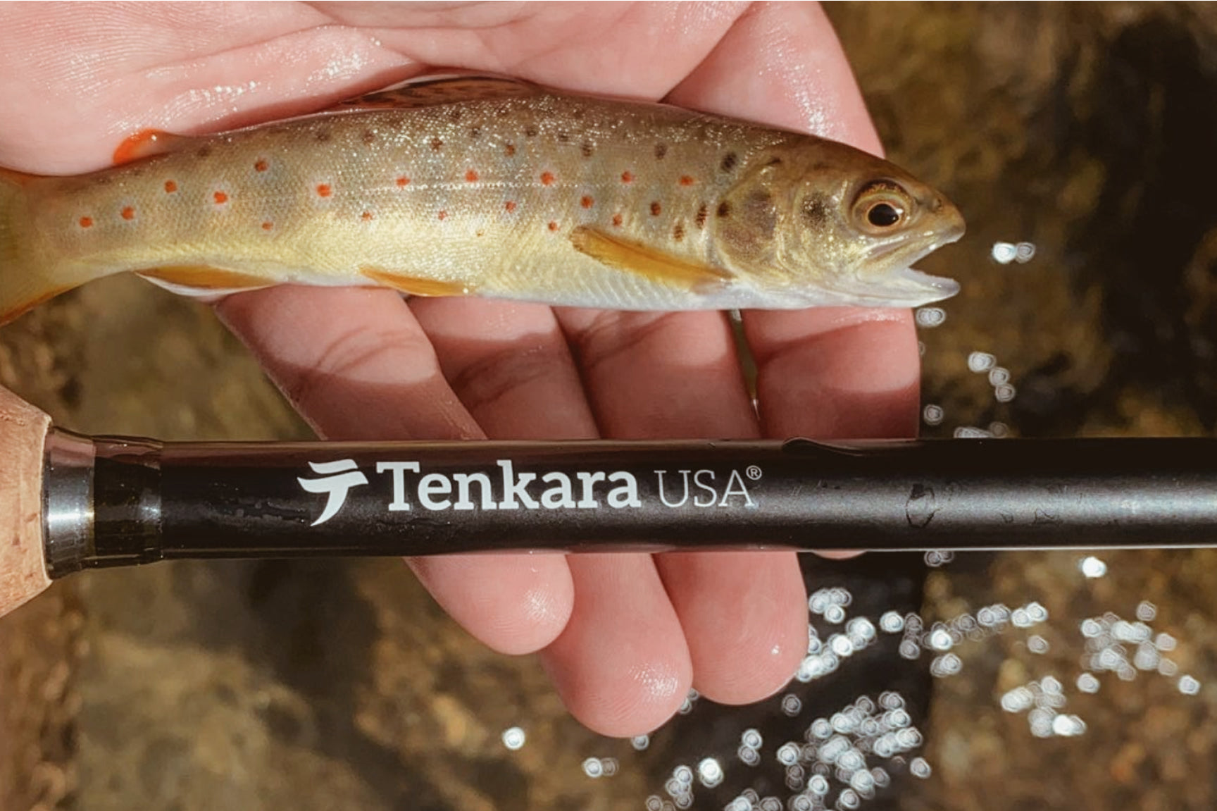 Tenkara Usa Amago Rod and fish on hand.