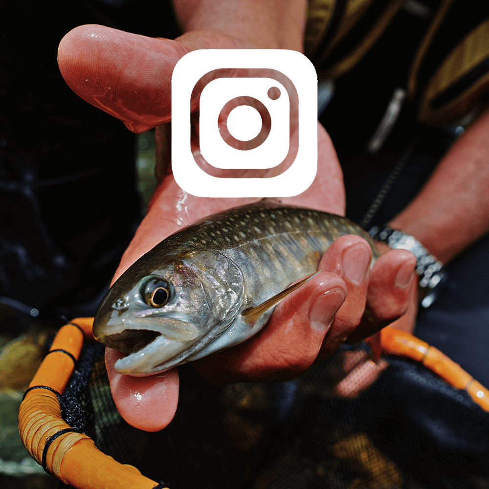 Person holding a fish with the Instagram logo on top.