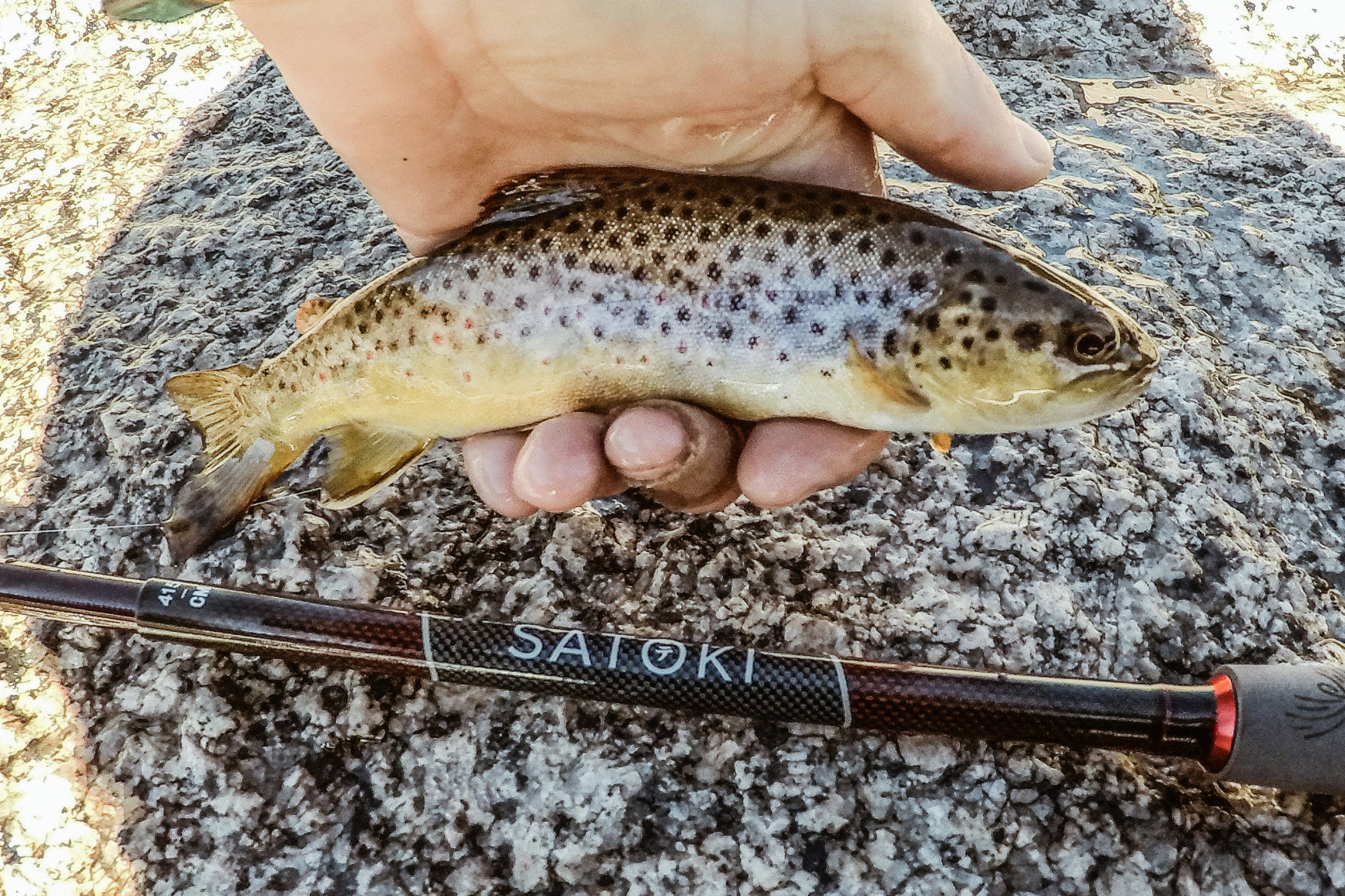 Complete Set: SATOKI™ Rod Kit – Tenkara USA - Main Image