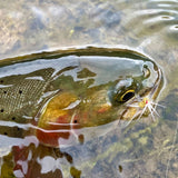 Hot Spot Futsū Kebari (Size 12, 3 Flies)