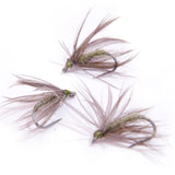 Little Olive Soft Hackle (size 18, 3 flies)